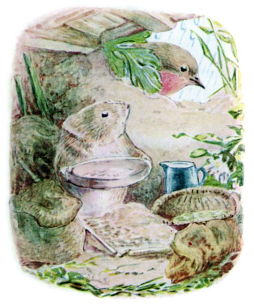Timmy Willie longed to be at home in his peaceful nest in a sunny bank.