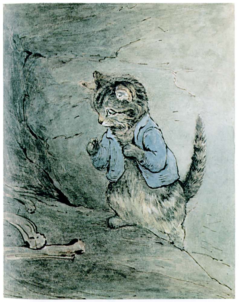 Tom finds bones and smells a rat