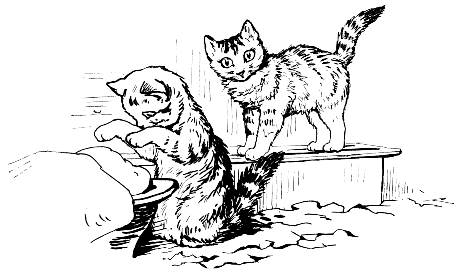 Kittens knead dough