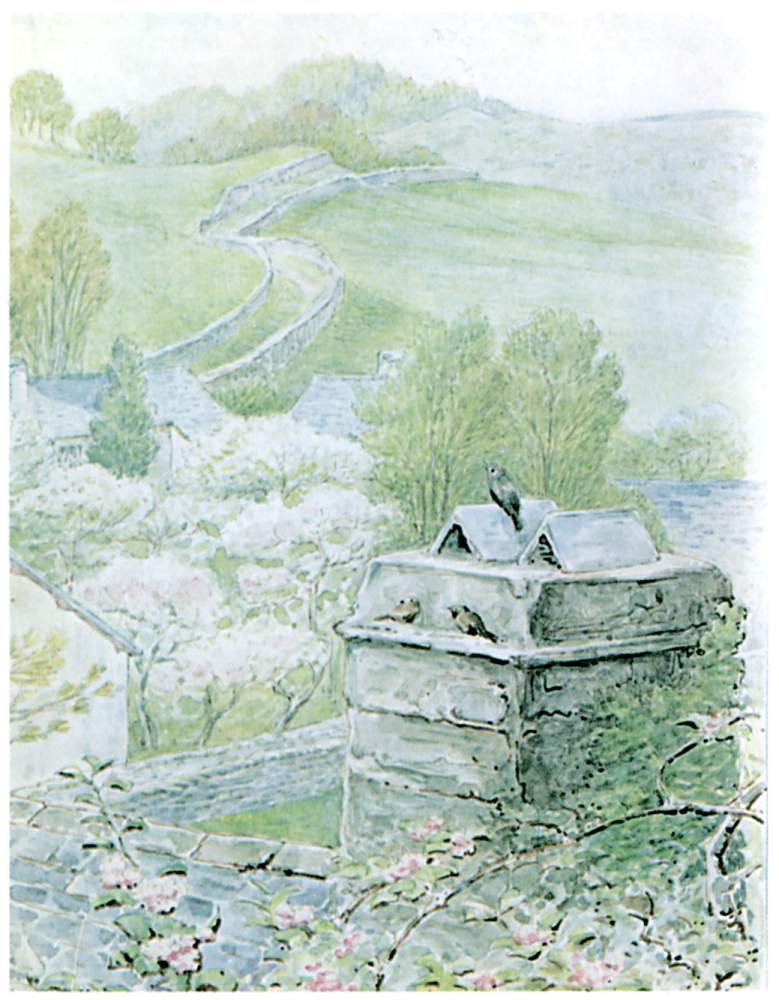 The chimney, the birds and the view