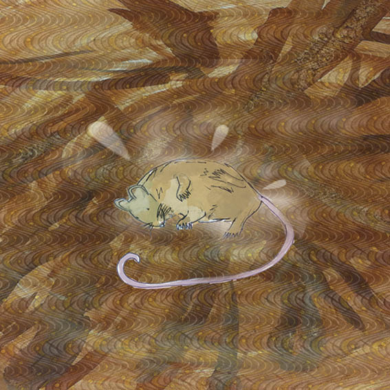 Mouse sleeps in a pool of mud.
