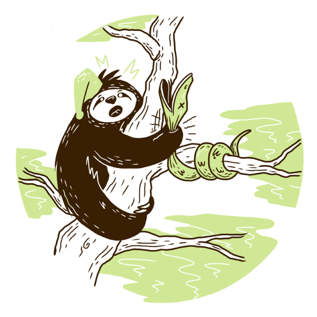 Mr Sloth grabs snake by mistake!