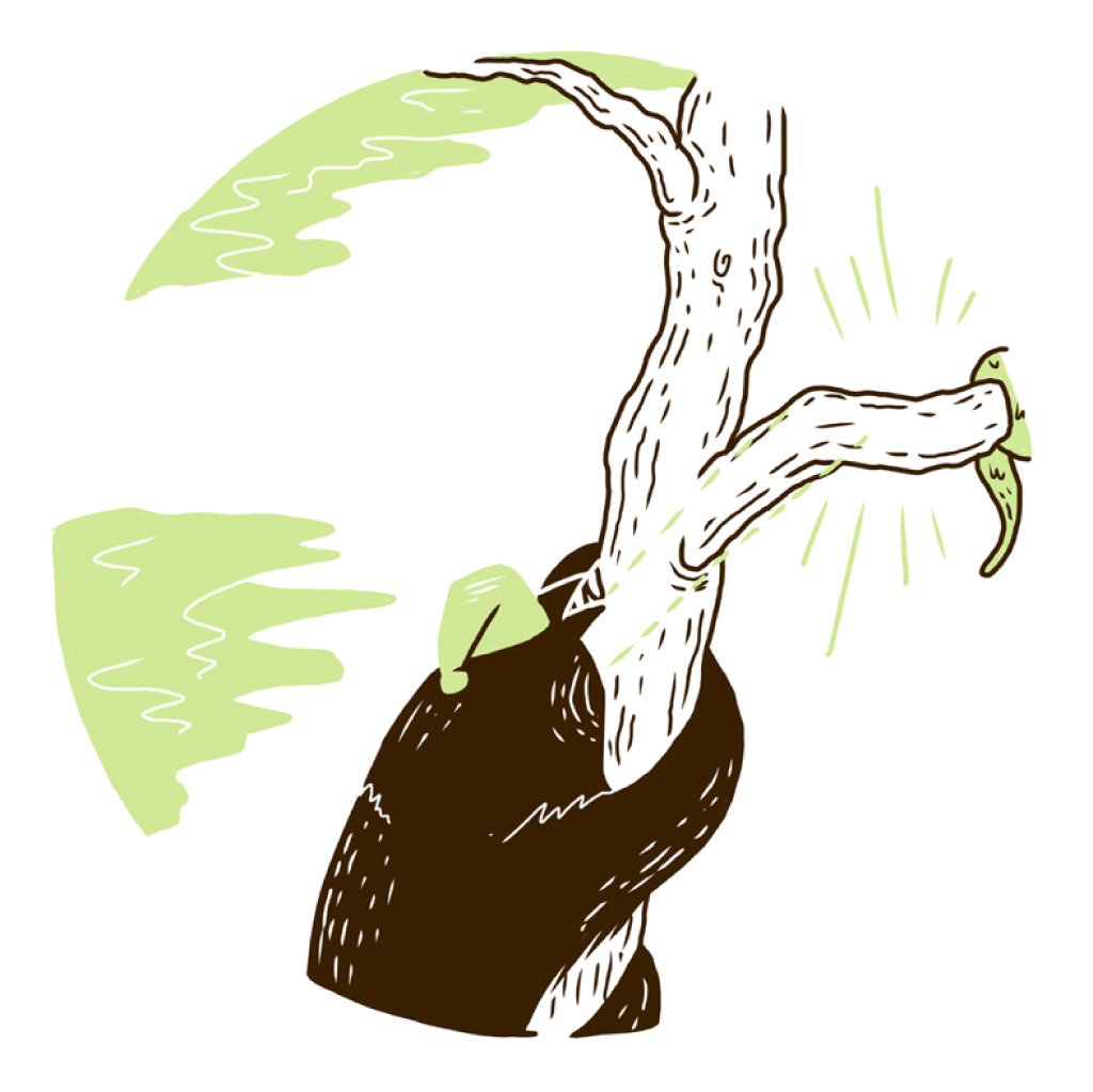 Mr Sloth spots a branch. There is a tail nearby.