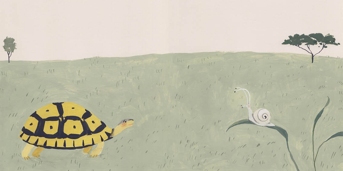 Tortoise passes Snail in the veld.
