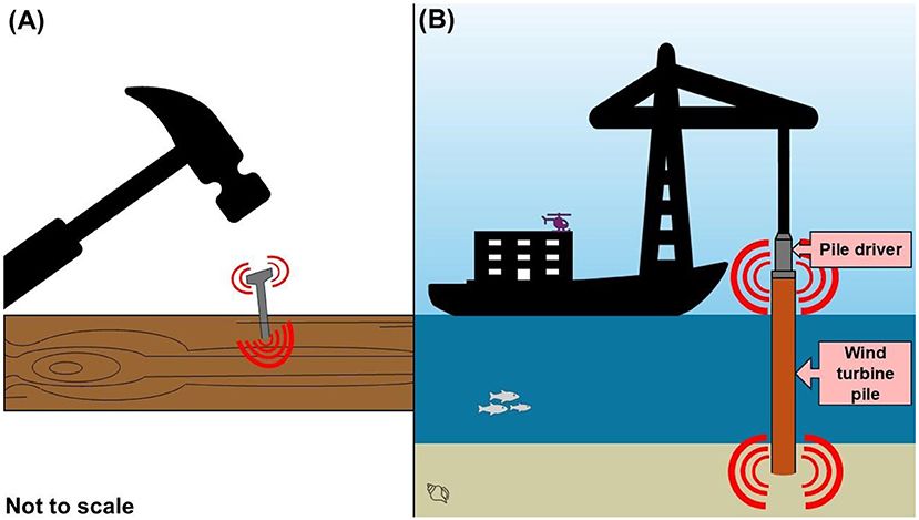 Two-part illustration comparing pile driving to hitting a nail. Panel A shows a hammer striking a nail into wood with red lines indicating vibration. Panel B depicts a pile driver on a ship striking a wind turbine pile underwater, also emitting vibrations shown with red lines.