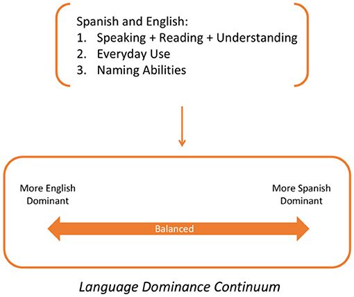 Diagram illustrating a language dominance continuum with an arrow ranging from more English dominant to more Spanish dominant and the midpoint labeled balanced, based on speaking, reading, understanding, everyday use, and naming abilities in both languages.