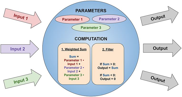 Diagram illustrating a computational process where three colored inputs enter a blue circle labeled "Parameters and Computation." Inside, three parameters are shown. Computation involves a weighted sum and a filter that outputs a value only if the sum is greater than zero, otherwise outputs zero. Three outputs exit to the right.