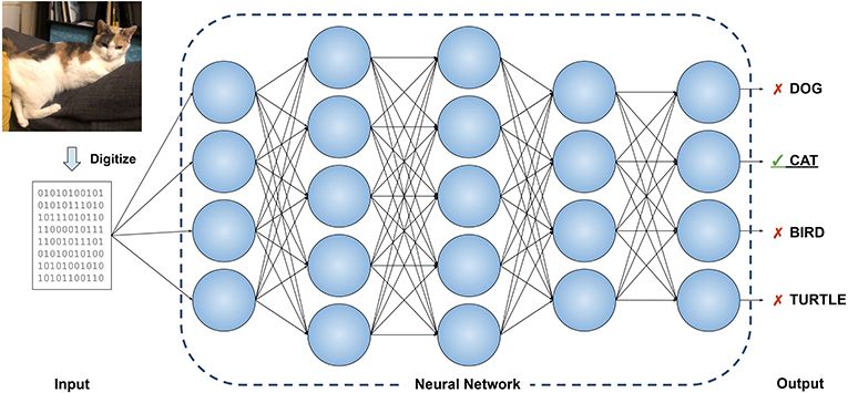 Diagram showing a process where a cat image is converted into binary data, which serves as input to a multi-layered neural network. The output identifies “cat” as the correct classification among dog, bird, and turtle options.