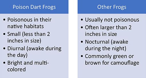 Comparison chart with two columns highlighting differences between poison dart frogs and other frogs. Poison dart frogs are poisonous, small, diurnal, and brightly colored, while other frogs are usually not poisonous, larger, nocturnal, and commonly green or brown for camouflage.