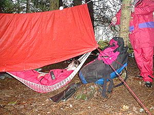 Bivvy on an island - geograph.org.uk - 139048