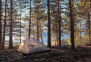 Tent camping along the Sulayr trail in La Taha, Sierra Nevada National Park (DSCF5147)