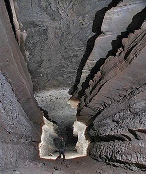 Mammoth cave canyon