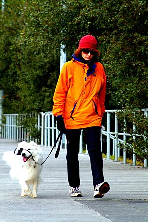 Walking the dog (1945527533)