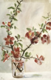 Georgia O'Keeffe, Untitled, vase of flowers, 1903 to 1905
