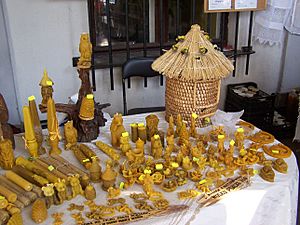 Kurps in Warsaw-11-Niedzwiedzcy-Pasieka
