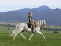 Trot animated