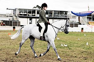 Horse riding in coca cola arena - melbourne show 2005