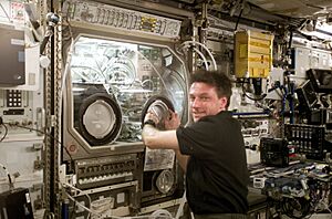 ISS-08 Michael Foale conducts an inspection of the Microgravity Science Glovebox