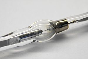 Microscope MercuryArcBulb Detail