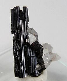 Hubnerite-Quartz-216455