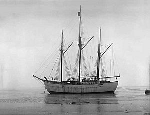 Polarskipet Maud