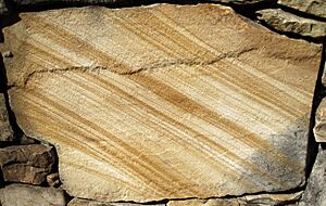 "Liesegang banding" in quartzose sandstone (Upper Paleozoic; quarry near Crossville, Tennessee, USA) 2 (40280403530)