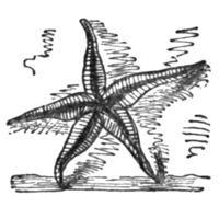 Poems of the Sea, 1850 - Hope in God