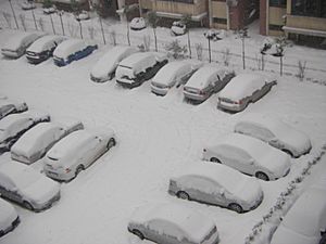 2008 China storms Anhui