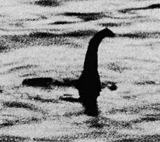 Loch Ness Monster Surgeon's photograph.jpg