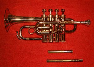 Trumpet piccolo