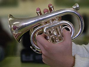 Pocket trumpet