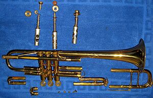 Bb trumpet in parts