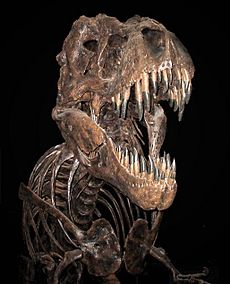 Trex edited.jpg