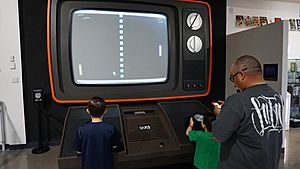 Pong (28684491143)