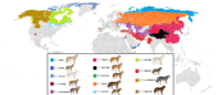 Present distribution of gray wolf (canis lupus) subspecies