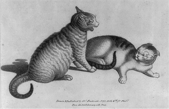 Two cats, one sitting up and one laying down with ears back. Charles Fenderich, Philadelphia, 1832. Prints & Photographs