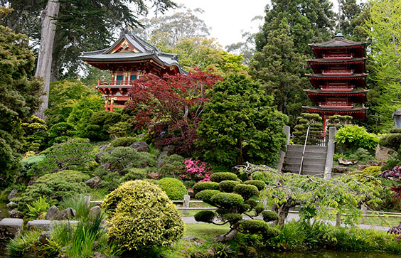 The Japanese Tea Garden, Golden Gate Park, San Francisco, California. Carol M. Highsmith, photographer, 2012. Prints and