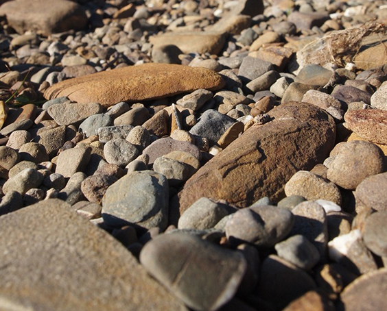 Rocky Beach with a close view of stones. Noatak National Preserve, Alaska, 2013. U.S. National Park Service, NP Gallery