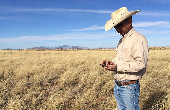 USDA-NRCS rangeland scientist Emilio Carrillo tests the new LandPKS mobile app on his smartphone. Photo by Jeffrey Herri
