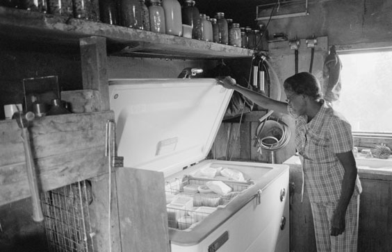 Mrs. Choate and her canned and frozen foods. Alleghany County, NC, 1978. American Folklife Center, Library of Congress.