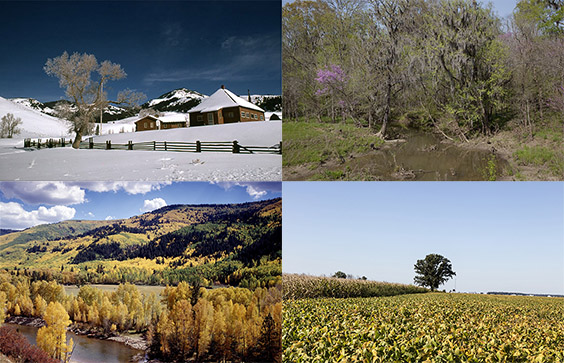 Clockwise from top left: Winter in Yellowstone National Park. National Park Service Web site. Rural Alabama in the sprin