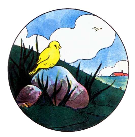 Two Birds