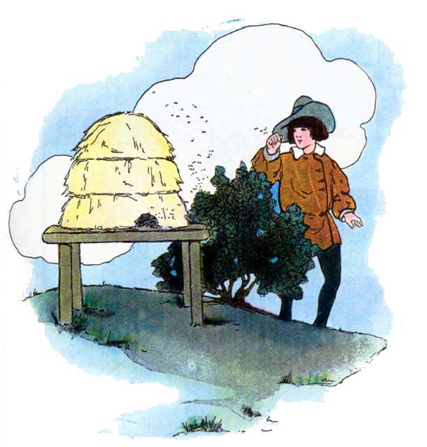 About the Bush