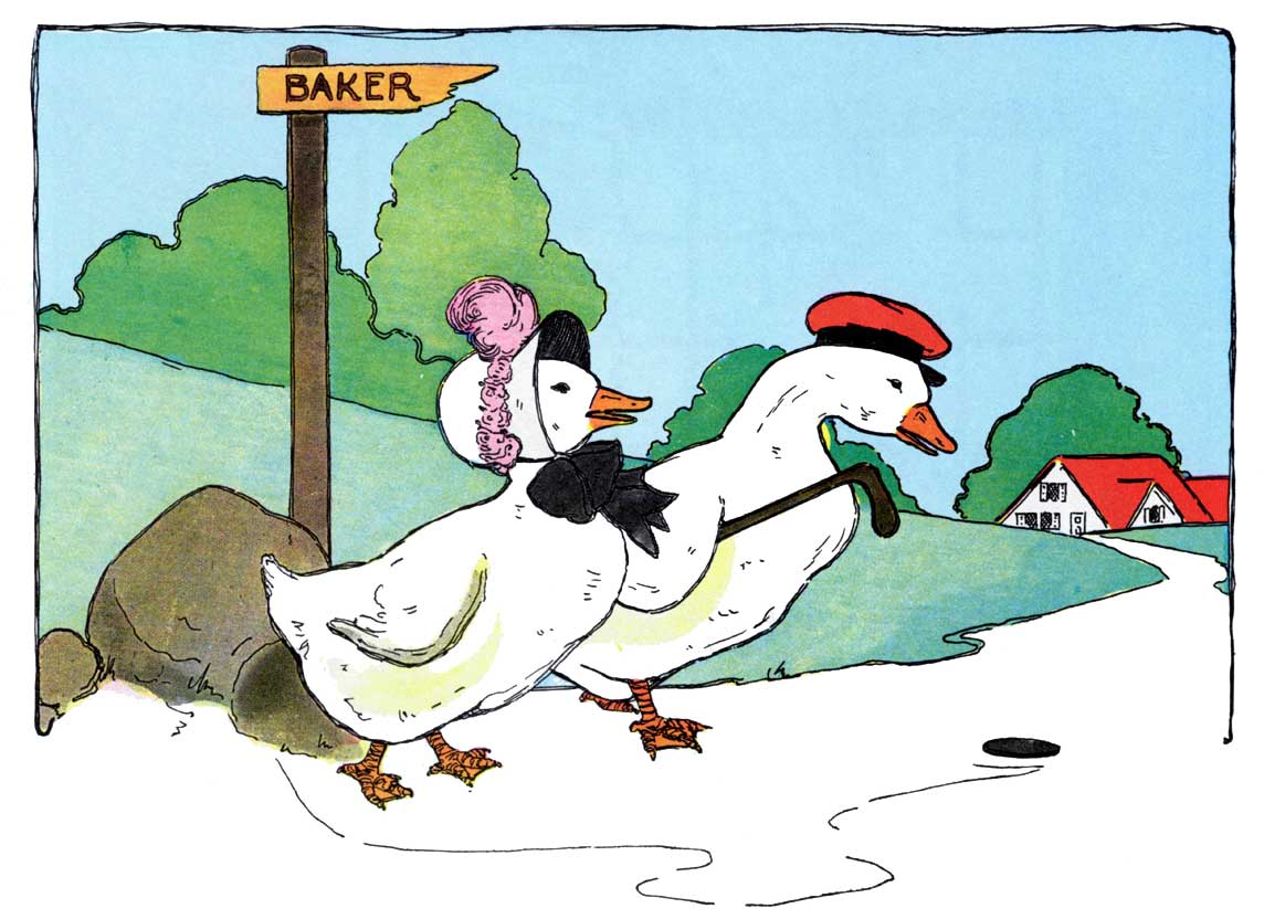 Ducks and Drakes