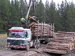 Log with crane
