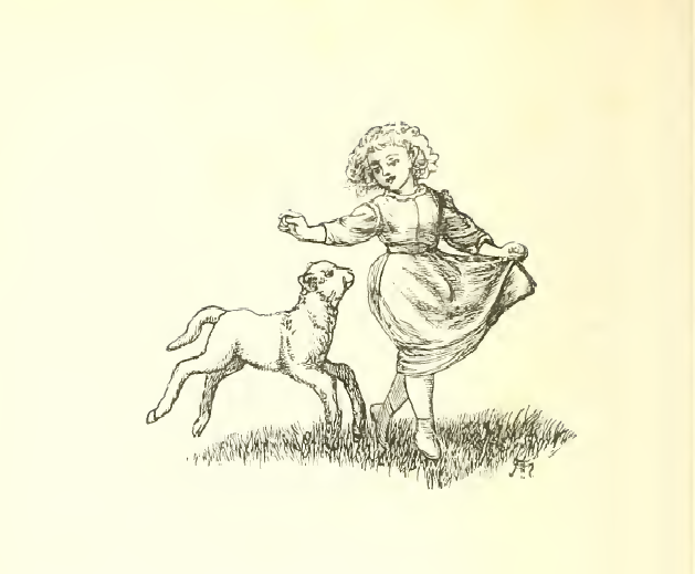 A frisky lamb