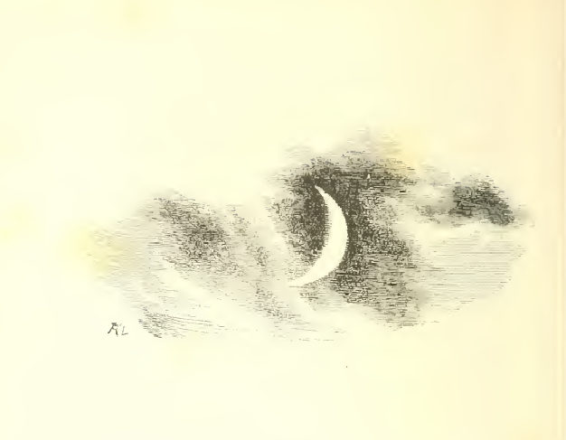 O Lady Moon