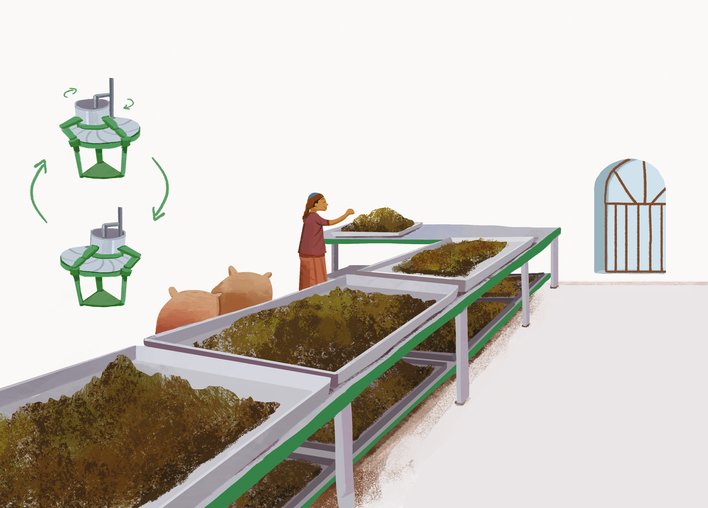 Tea leaves being dried and torn in the factory