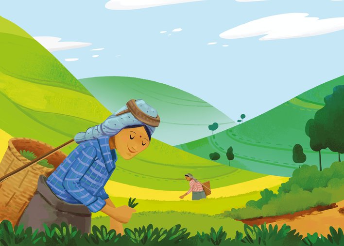 Two ladies picking tea leaves in a tea garden