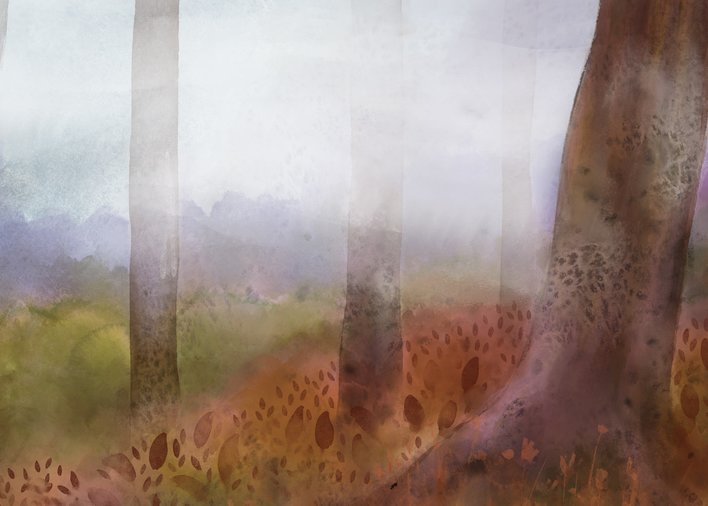 Age of a tree